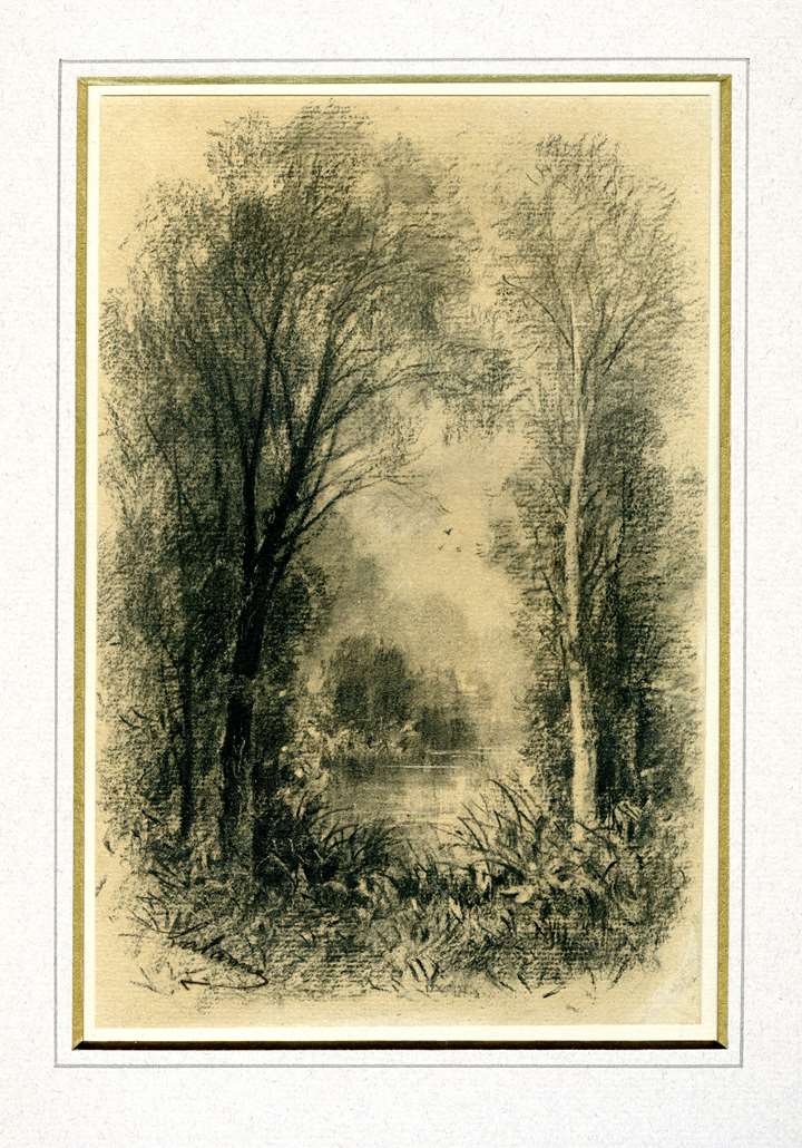 A river running through woodland